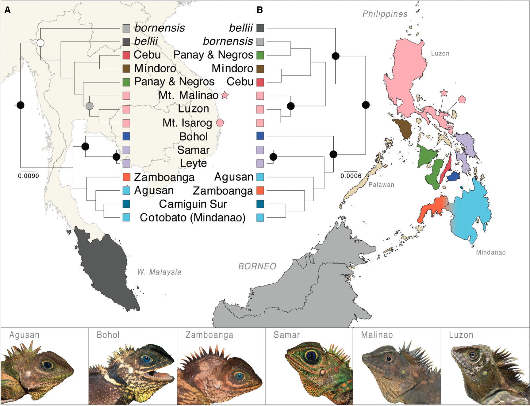 Figure from publication